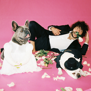 黄色妈妈爰在树林
