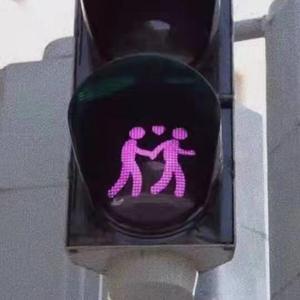 黄色妈妈爰在树林
