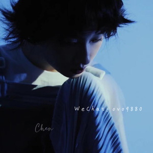 黄色妈妈爰在树林
