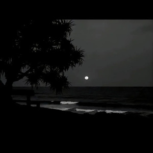 黄色妈妈爰在树林
